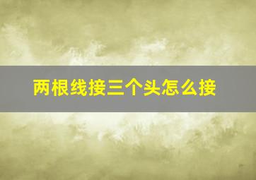 两根线接三个头怎么接