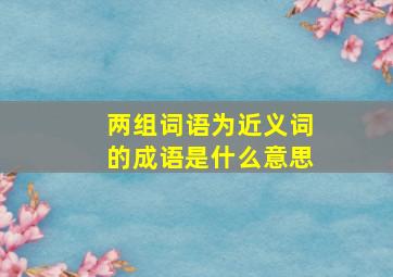 两组词语为近义词的成语是什么意思