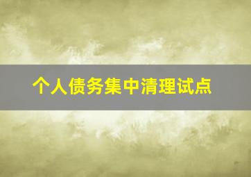 个人债务集中清理试点