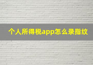 个人所得税app怎么录指纹