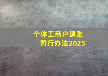 个体工商户建账暂行办法2025