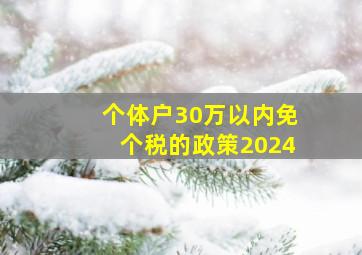 个体户30万以内免个税的政策2024