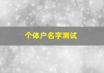 个体户名字测试