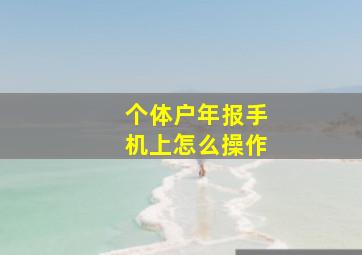 个体户年报手机上怎么操作