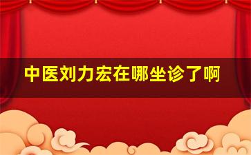 中医刘力宏在哪坐诊了啊