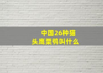 中国26种猫头鹰栗鸮叫什么