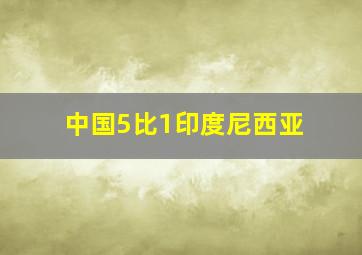 中国5比1印度尼西亚