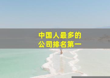 中国人最多的公司排名第一