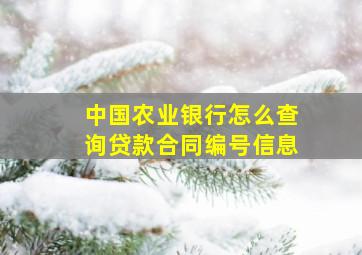 中国农业银行怎么查询贷款合同编号信息