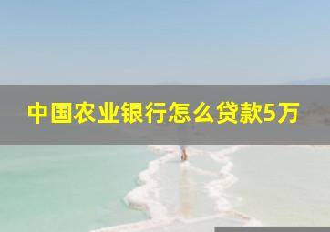 中国农业银行怎么贷款5万