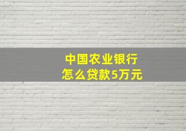 中国农业银行怎么贷款5万元