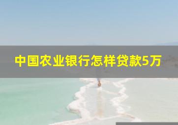 中国农业银行怎样贷款5万