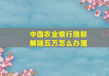 中国农业银行限额解除五万怎么办理