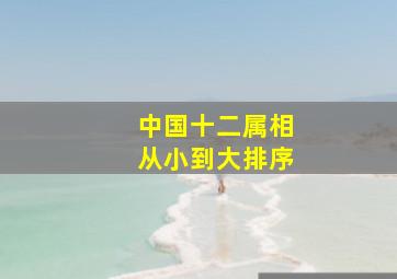 中国十二属相从小到大排序