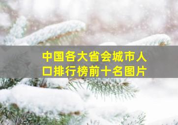 中国各大省会城市人口排行榜前十名图片