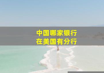 中国哪家银行在美国有分行