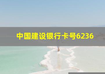 中国建设银行卡号6236