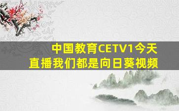 中国教育CETV1今天直播我们都是向日葵视频