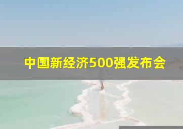 中国新经济500强发布会