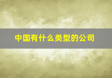 中国有什么类型的公司