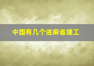 中国有几个进麻省理工