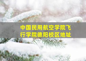 中国民用航空学院飞行学院德阳校区地址