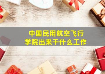 中国民用航空飞行学院出来干什么工作