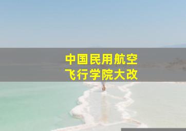 中国民用航空飞行学院大改