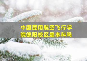 中国民用航空飞行学院德阳校区是本科吗