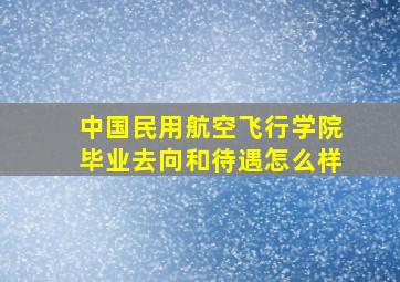 中国民用航空飞行学院毕业去向和待遇怎么样