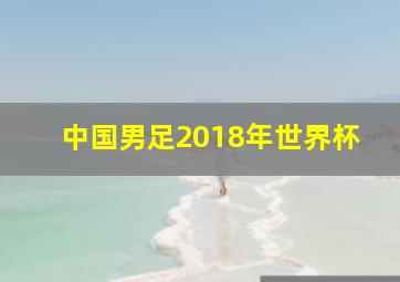 中国男足2018年世界杯