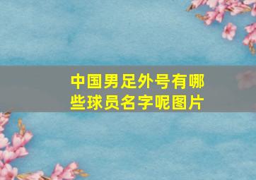 中国男足外号有哪些球员名字呢图片