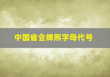 中国省会牌照字母代号