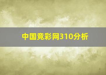 中国竞彩网310分析