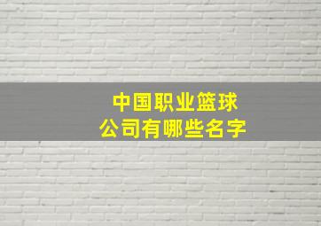 中国职业篮球公司有哪些名字