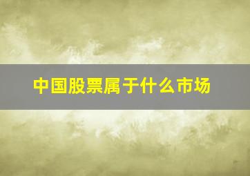 中国股票属于什么市场