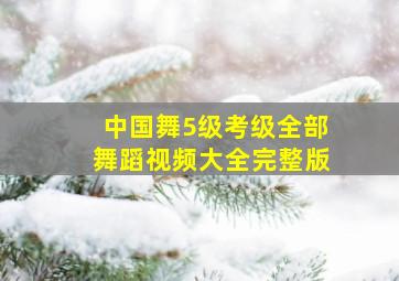 中国舞5级考级全部舞蹈视频大全完整版