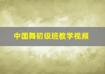 中国舞初级班教学视频