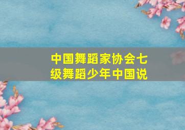 中国舞蹈家协会七级舞蹈少年中国说