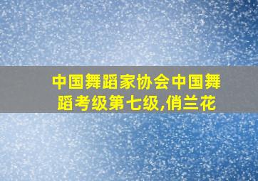 中国舞蹈家协会中国舞蹈考级第七级,俏兰花