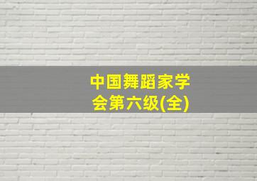 中国舞蹈家学会第六级(全)