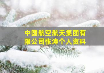 中国航空航天集团有限公司张涛个人资料