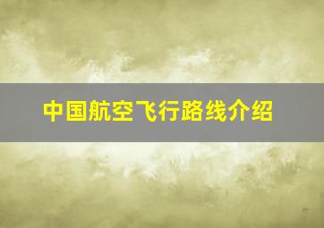 中国航空飞行路线介绍