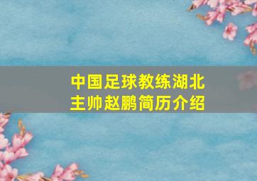 中国足球教练湖北主帅赵鹏简历介绍