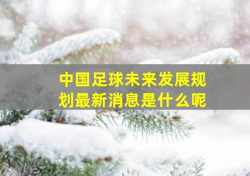 中国足球未来发展规划最新消息是什么呢