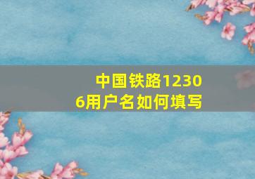 中国铁路12306用户名如何填写