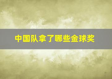 中国队拿了哪些金球奖