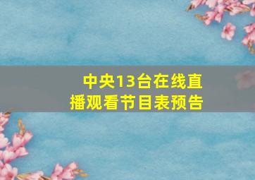 中央13台在线直播观看节目表预告