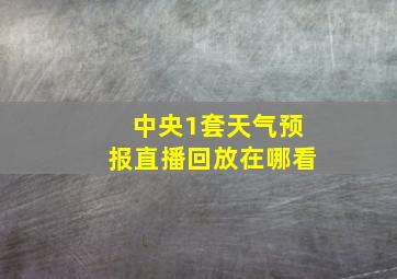 中央1套天气预报直播回放在哪看