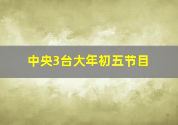 中央3台大年初五节目